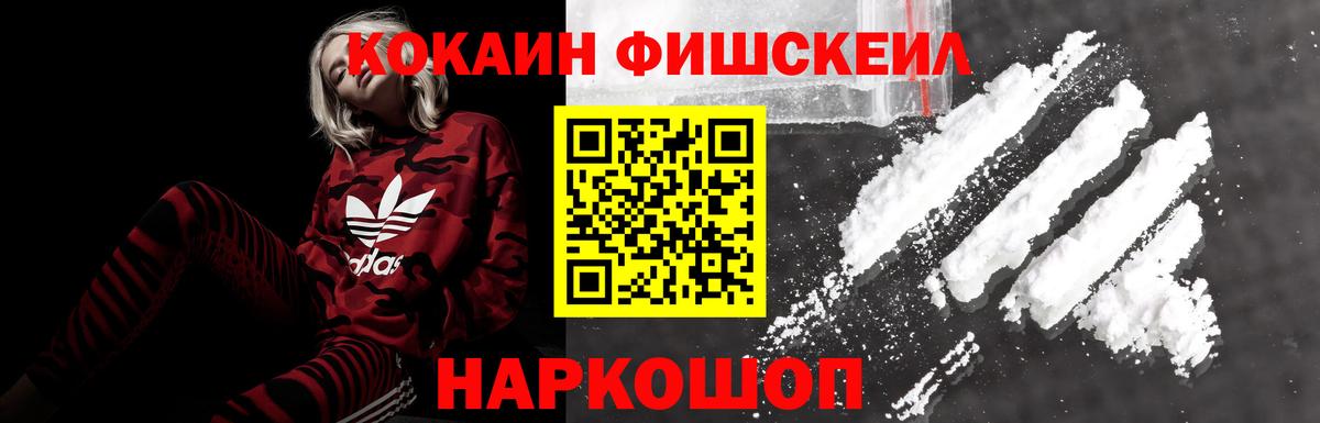 КОКАИН Эквадор  Вход с VPN  Cocaine FishScale  Сызрань 