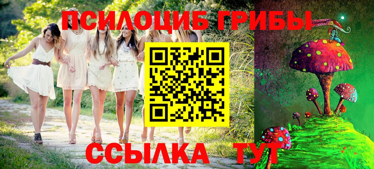 Псилоцибиновые грибы мицелий Сызрань