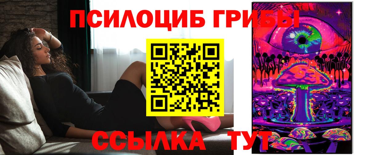 Галлюциногенные грибы Cubensis  Вход с VPN  Сызрань 
